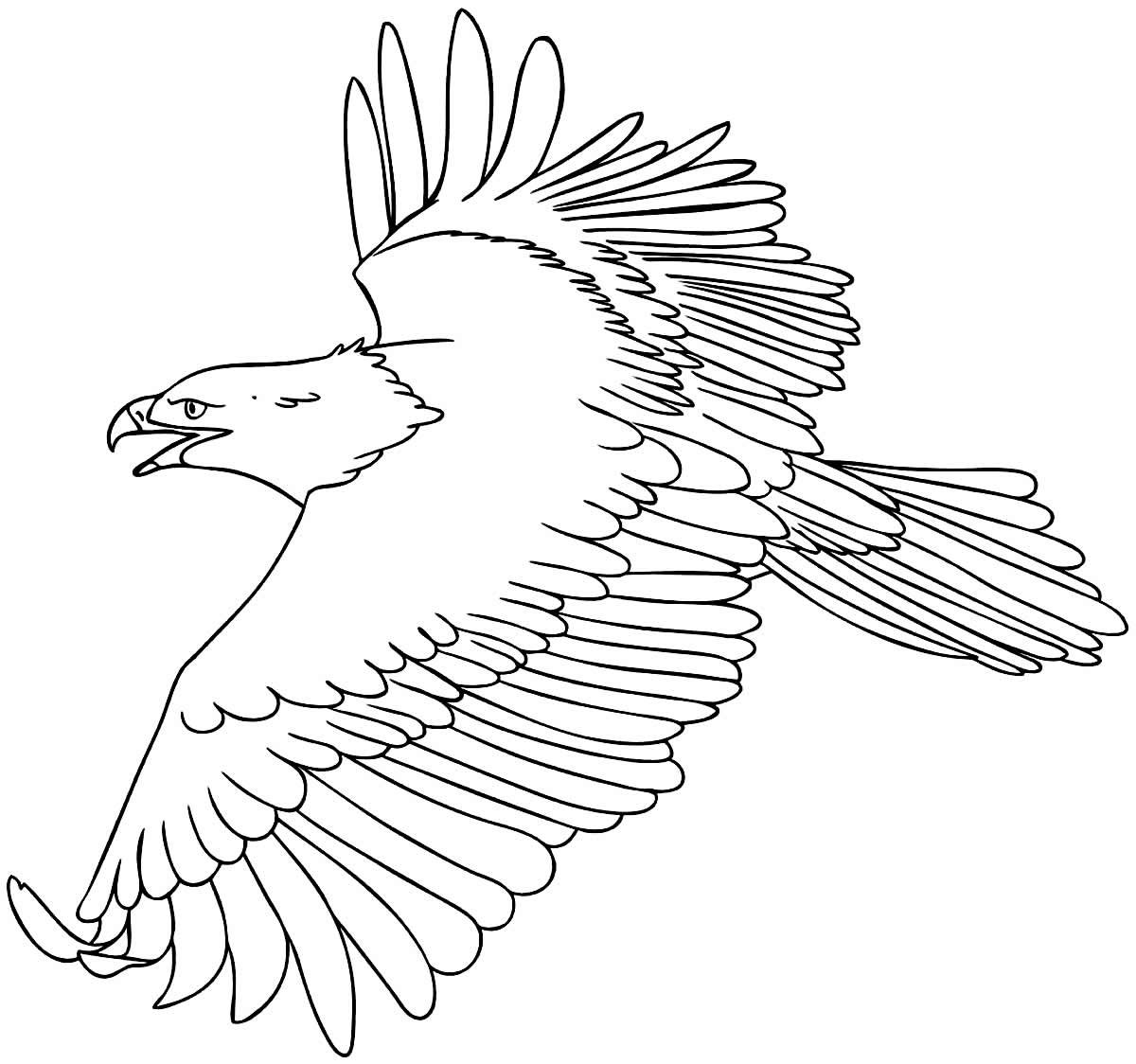 Desenhos de Águia para Colorir e Imprimir