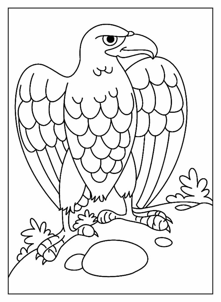 desenhos de aguia para colorir 12