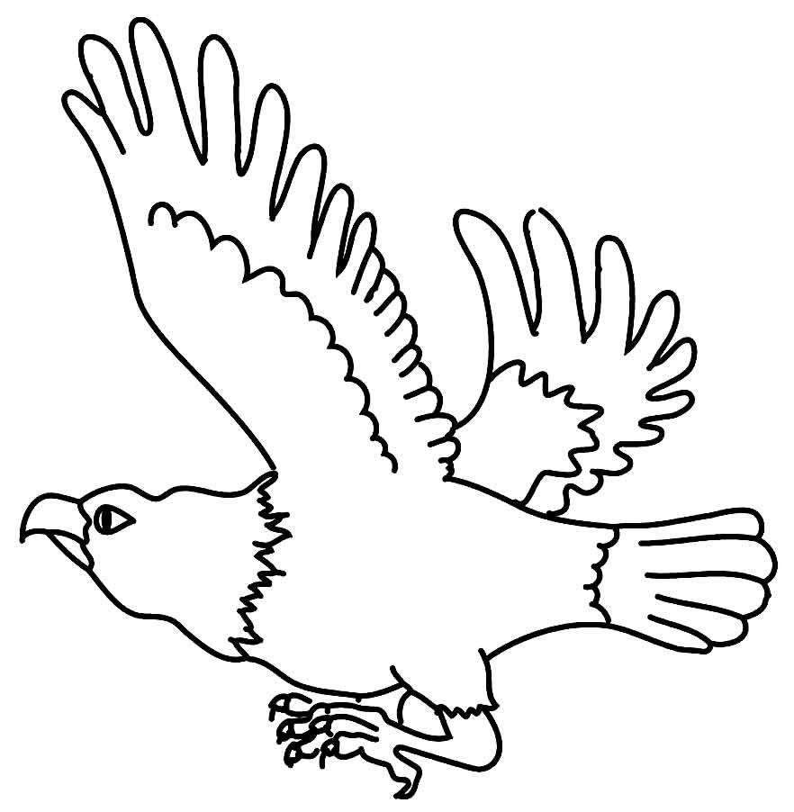 desenhos de aguia para colorir 16