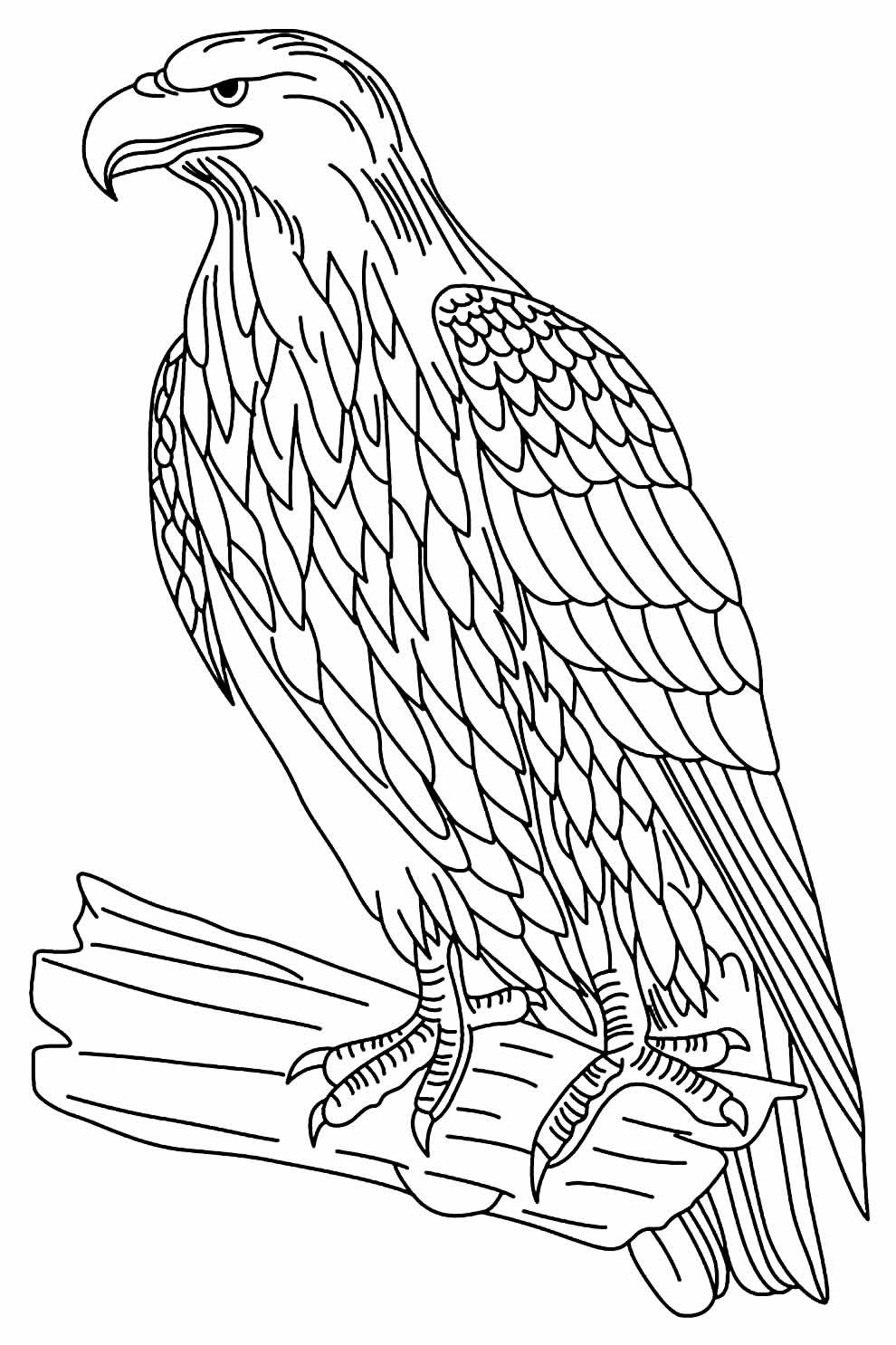 Desenhos de Águia para Colorir e Imprimir