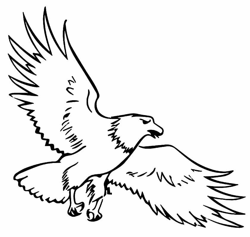 desenhos de aguia para colorir 22