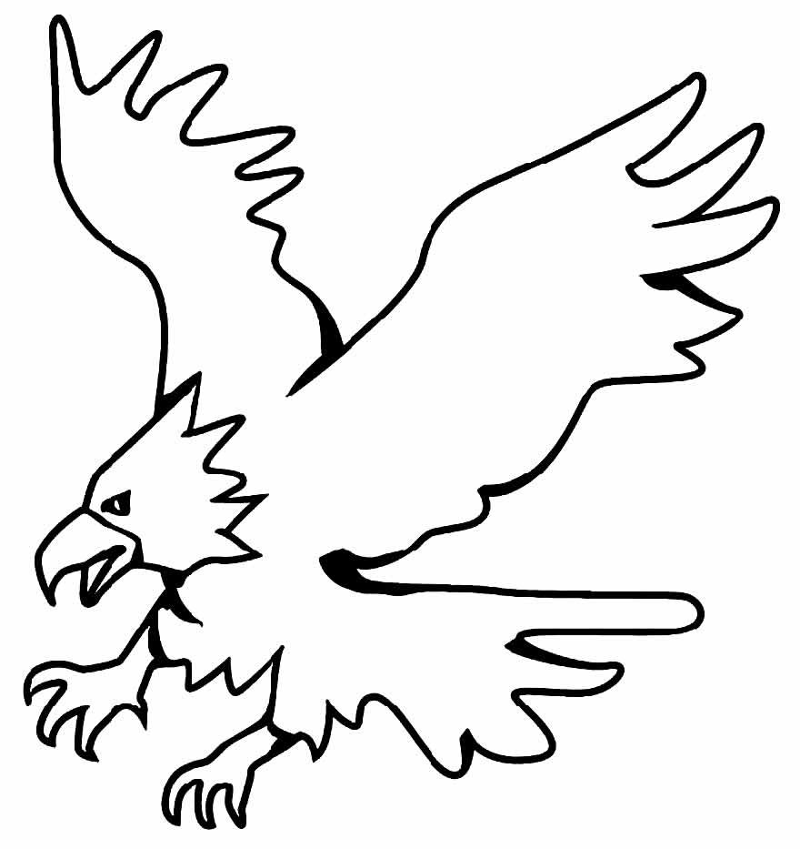 desenhos de aguia para colorir 23