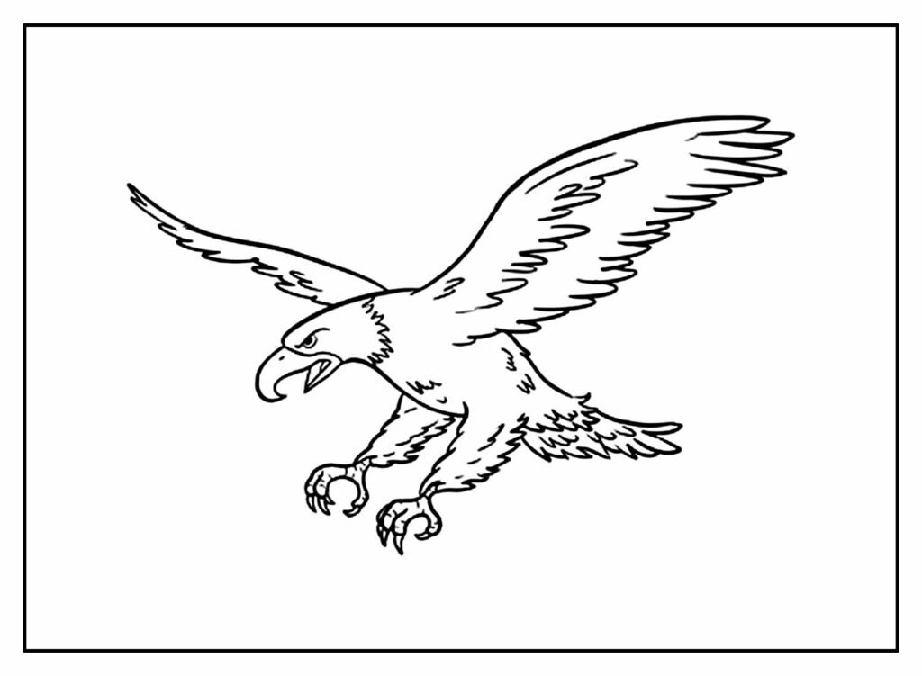 desenhos de aguia para colorir 5