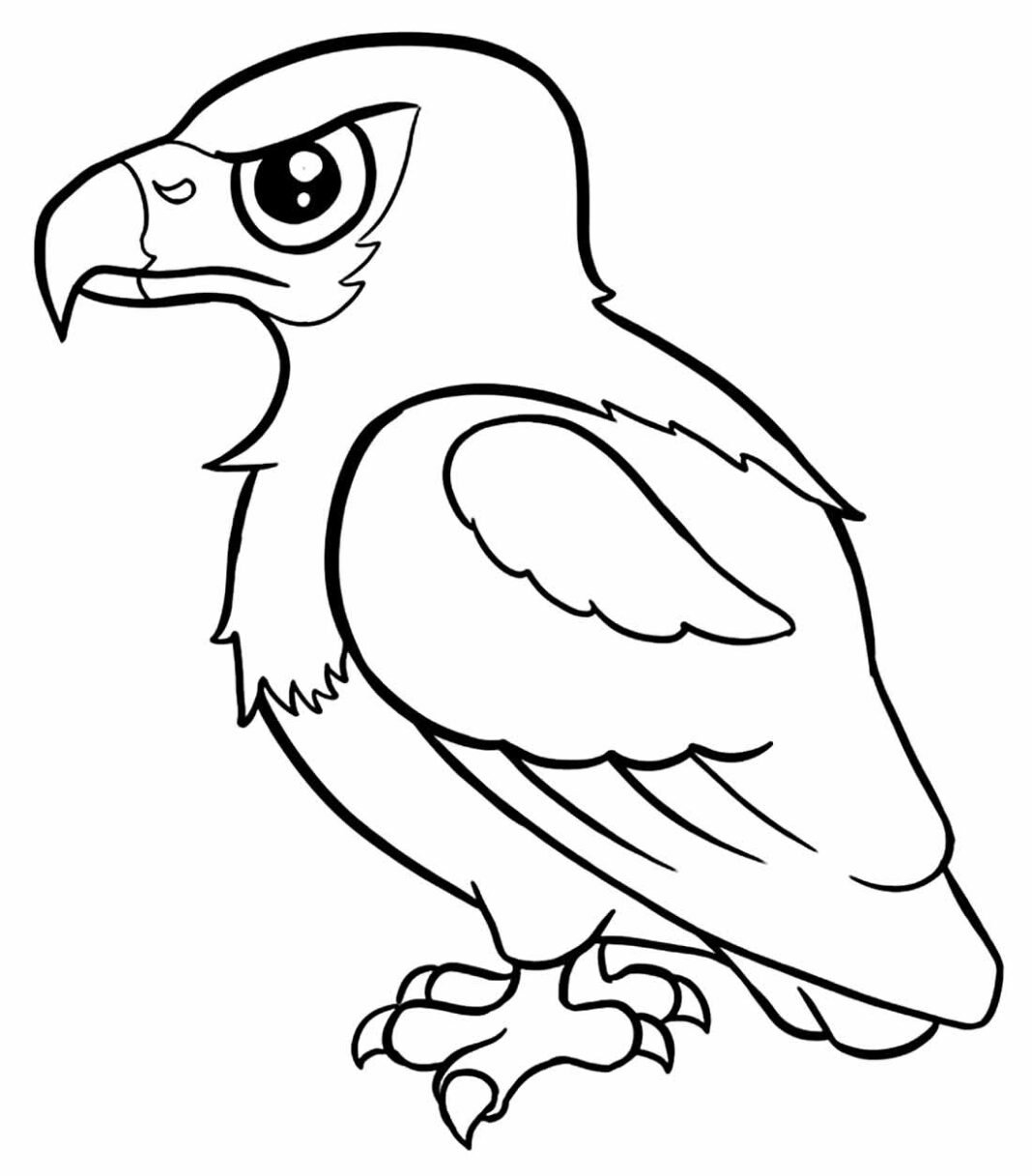 Desenhos de Águia para Colorir e Imprimir