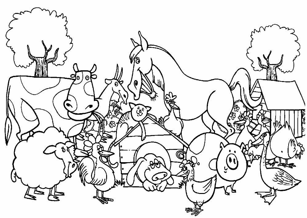 desenhos de animais 12