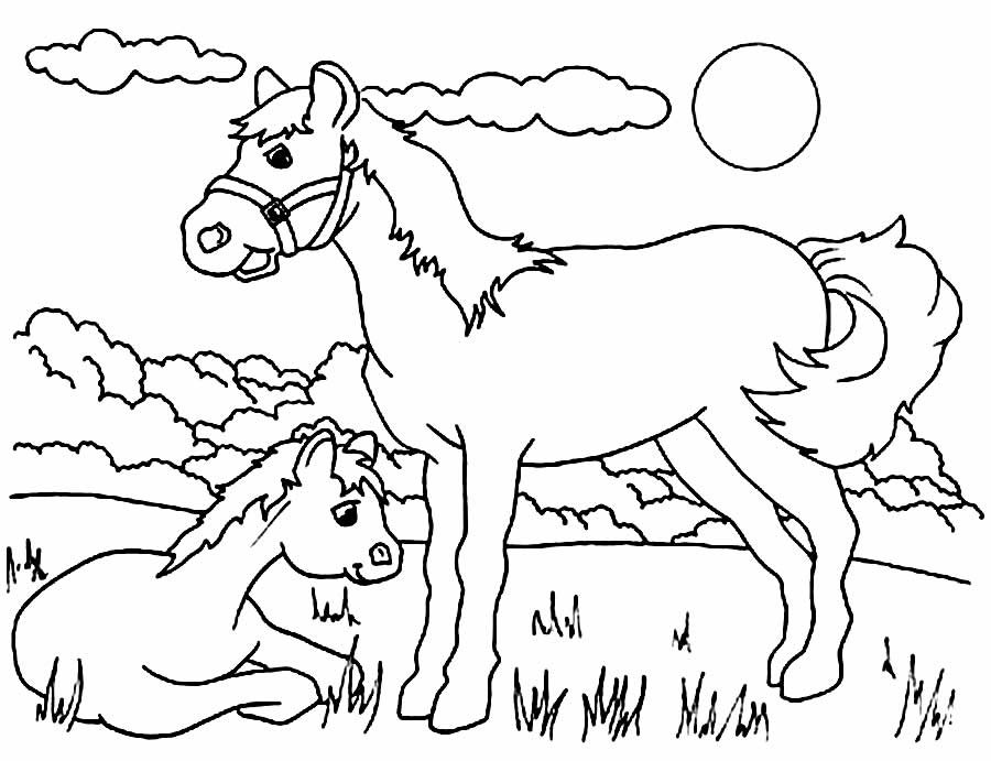 desenhos de animais 13