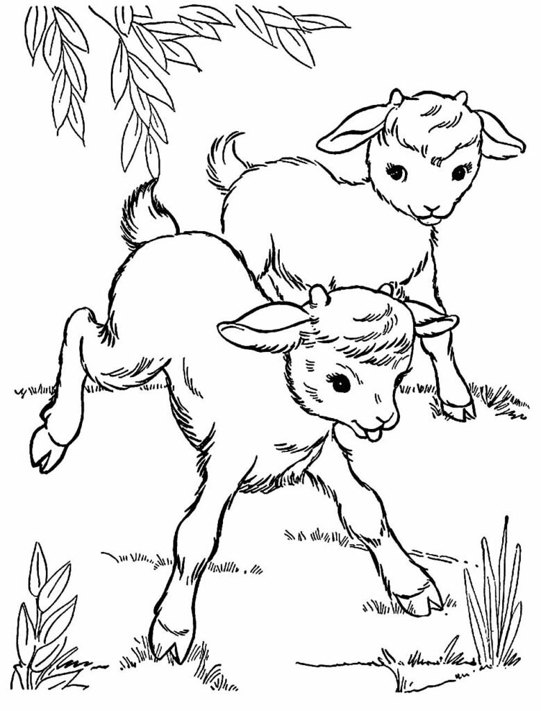 desenhos de animais 15