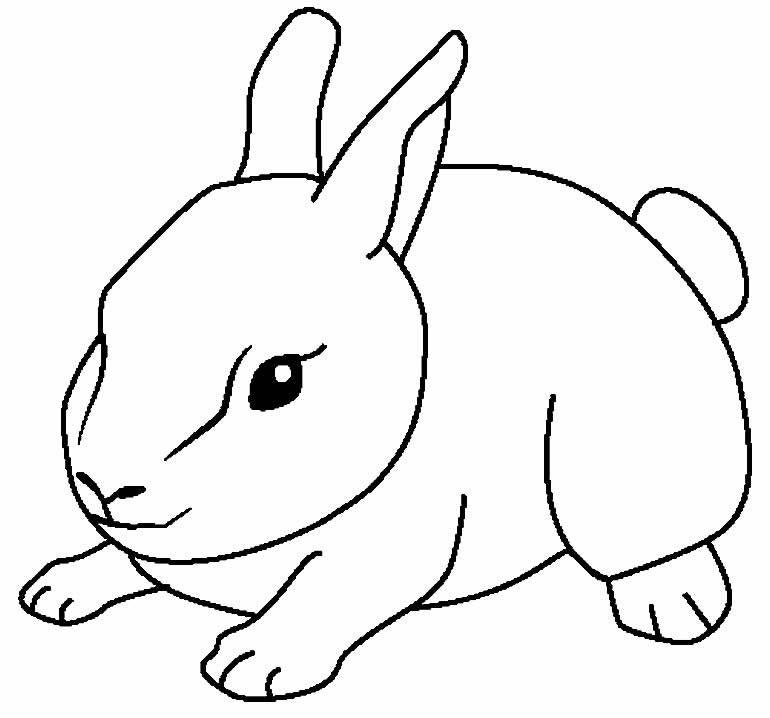 desenhos de animais 18