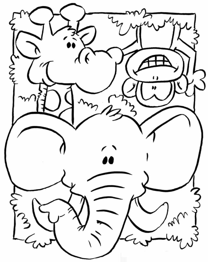 desenhos de animais 19