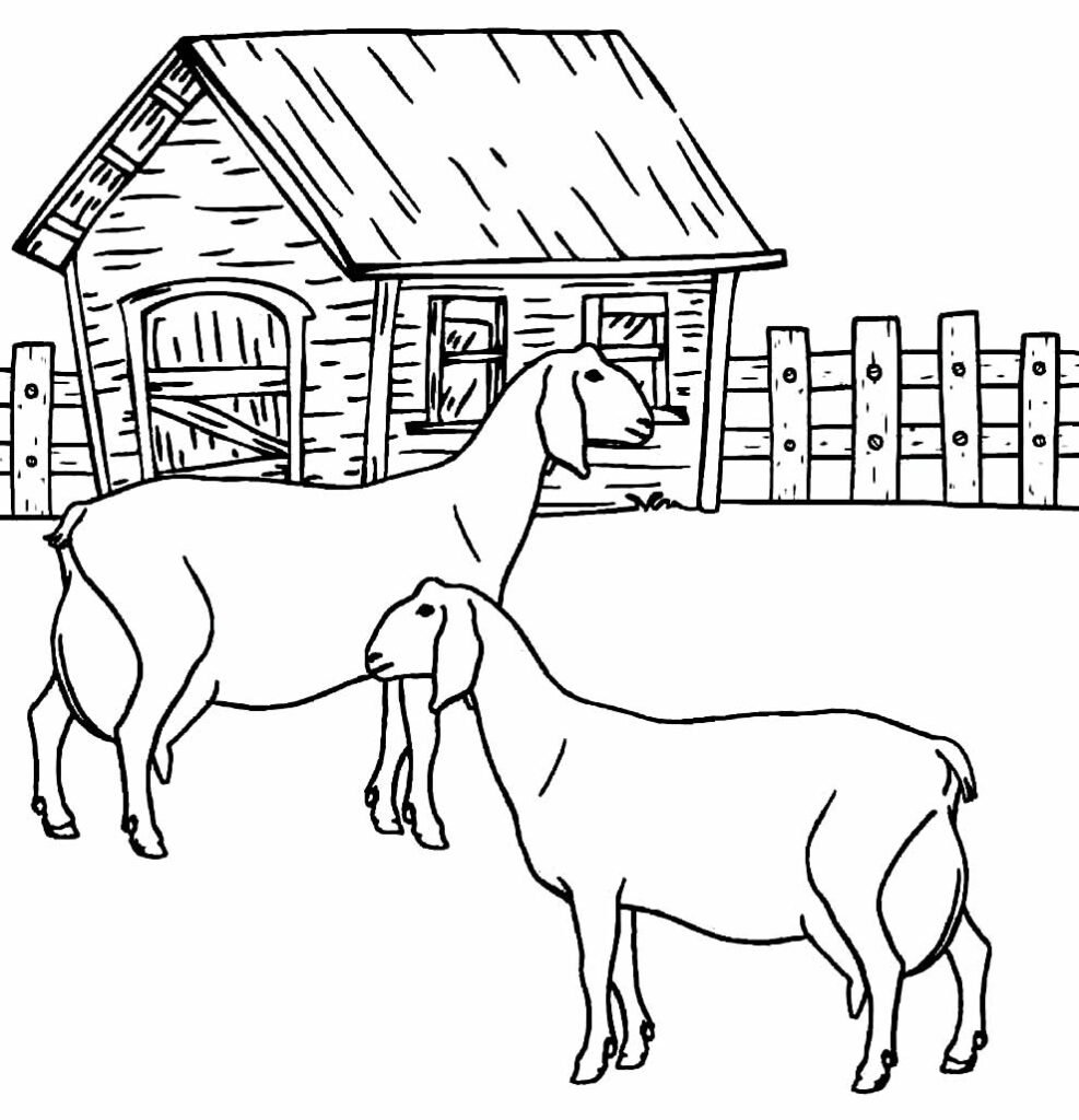 desenhos de animais da fazenda 11 1