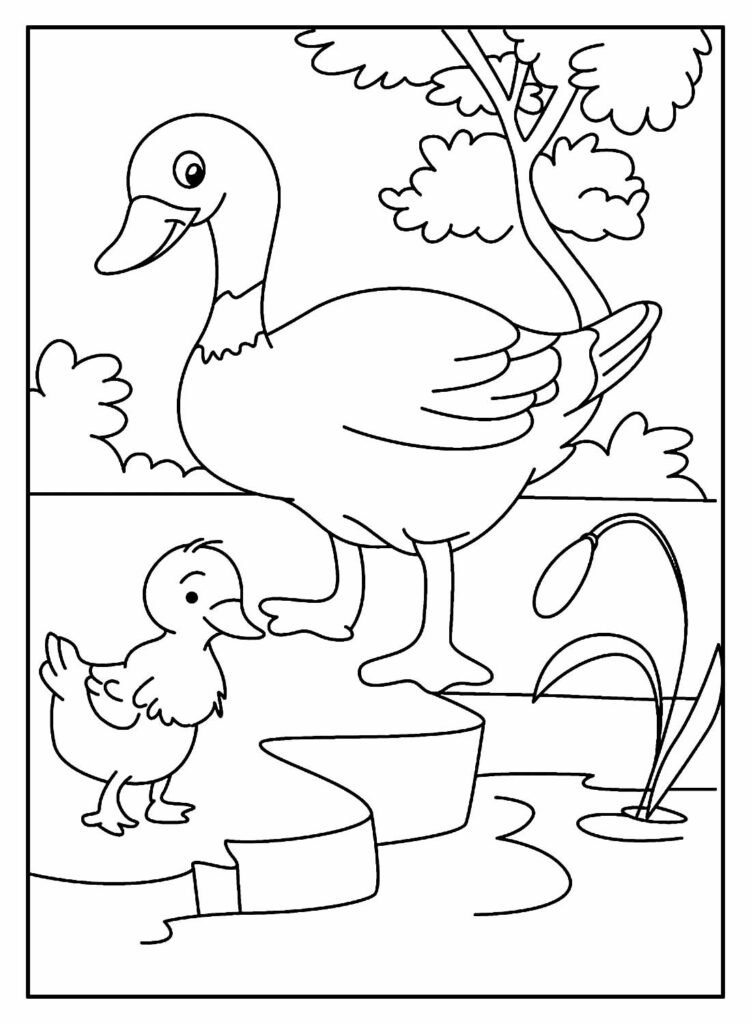 desenhos de animais da fazenda para colorir 19