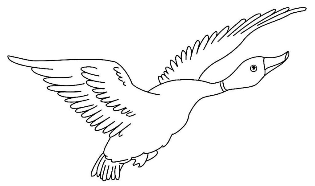 desenhos de animais da fazenda para colorir 21 desenhos de animais da fazenda para colorir 21