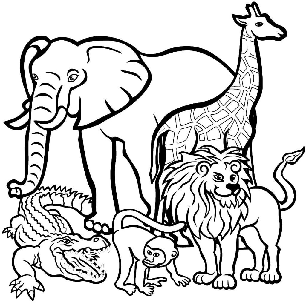 desenhos de animais para colorir 1 1