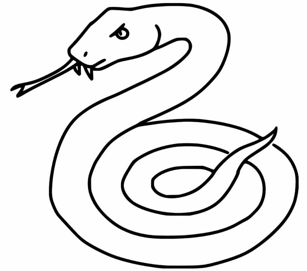 desenhos de animais para colorir 1