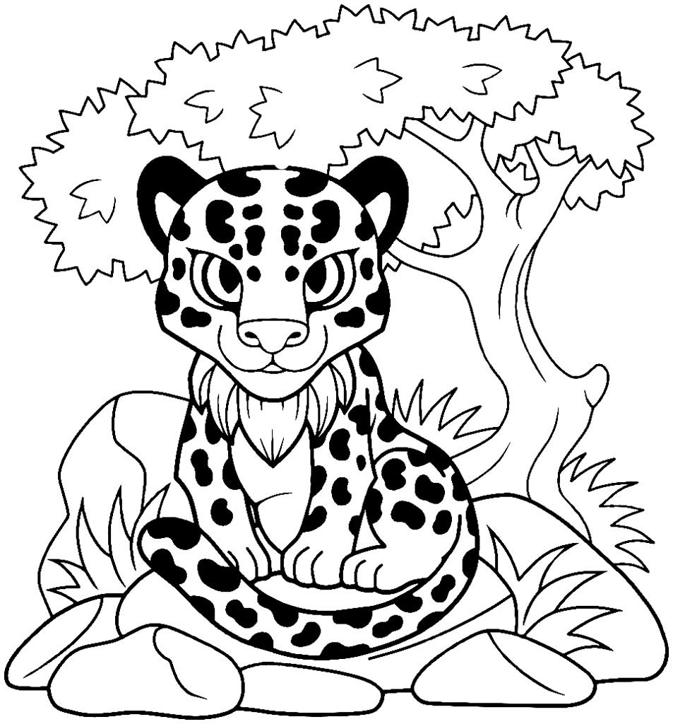 desenhos de animais para colorir 11 1