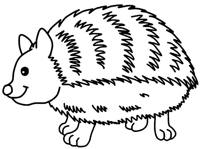 desenhos de animais para colorir 1300