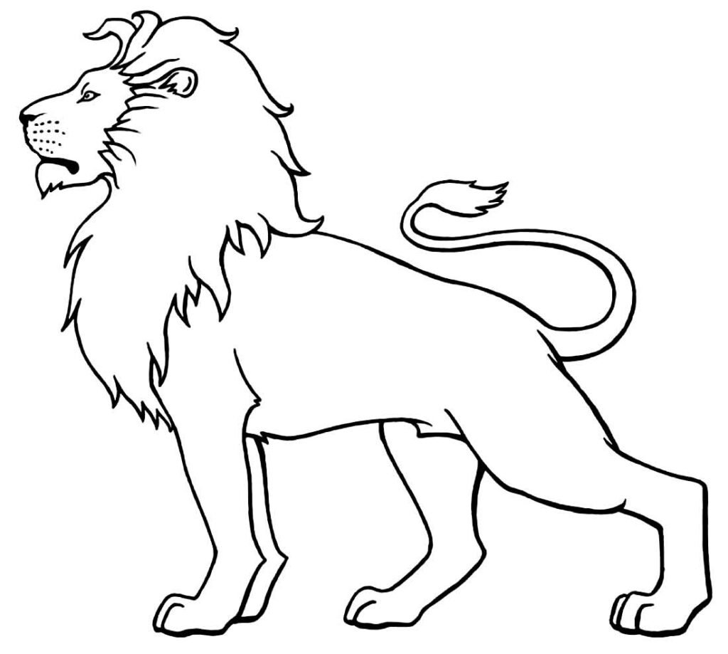 desenhos de animais para colorir 14