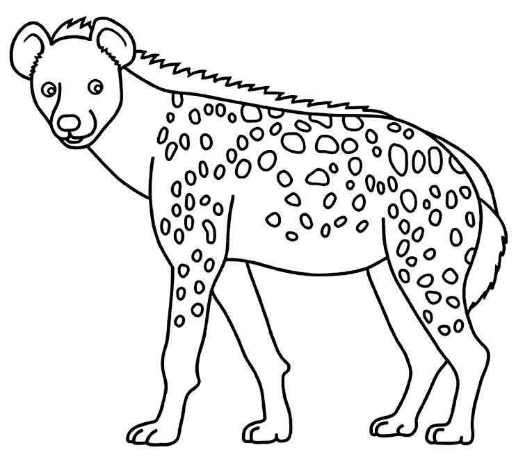 desenhos de animais para colorir 1500