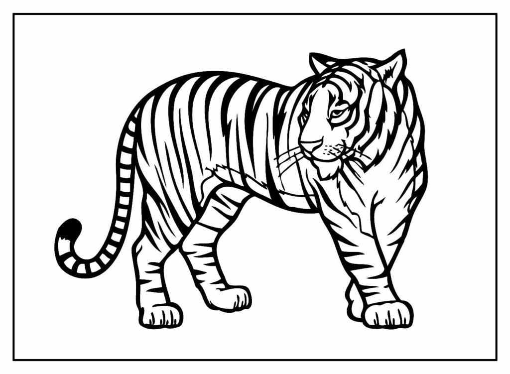 desenhos de animais para colorir 16