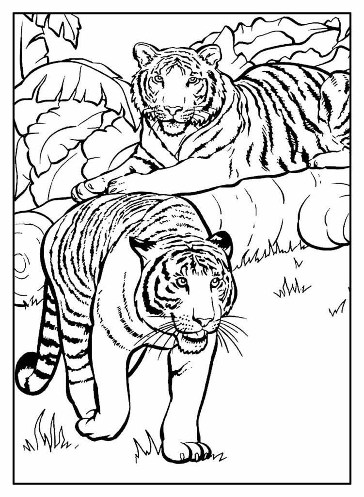 desenhos de animais para colorir 17