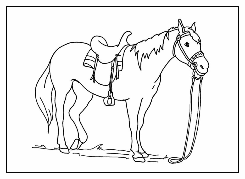desenhos de animais para colorir 23