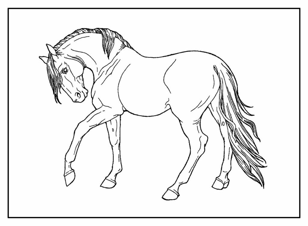 desenhos de animais para colorir 24