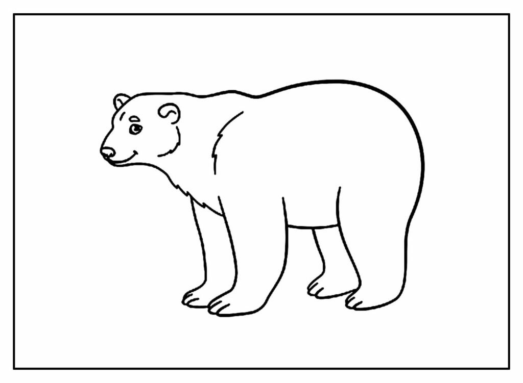 desenhos de animais para colorir 29