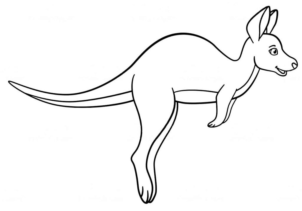 desenhos de animais para colorir 33