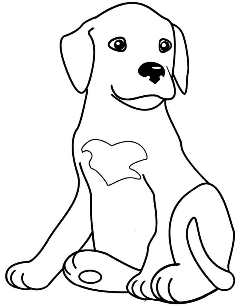 desenhos de animais para colorir 34