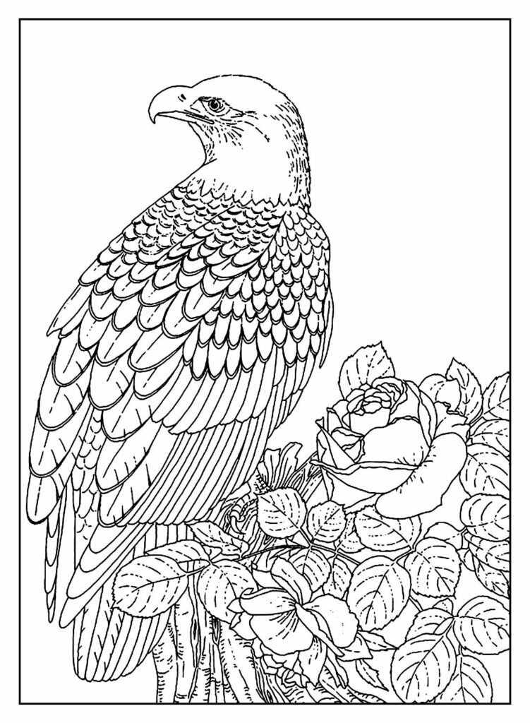desenhos de animais para colorir 37