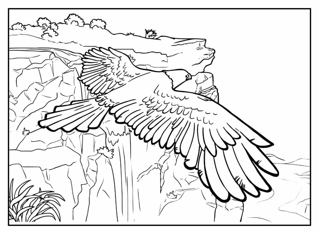 desenhos de animais para colorir 39