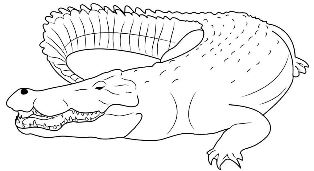 desenhos de animais para colorir 41 desenhos de animais para colorir 41