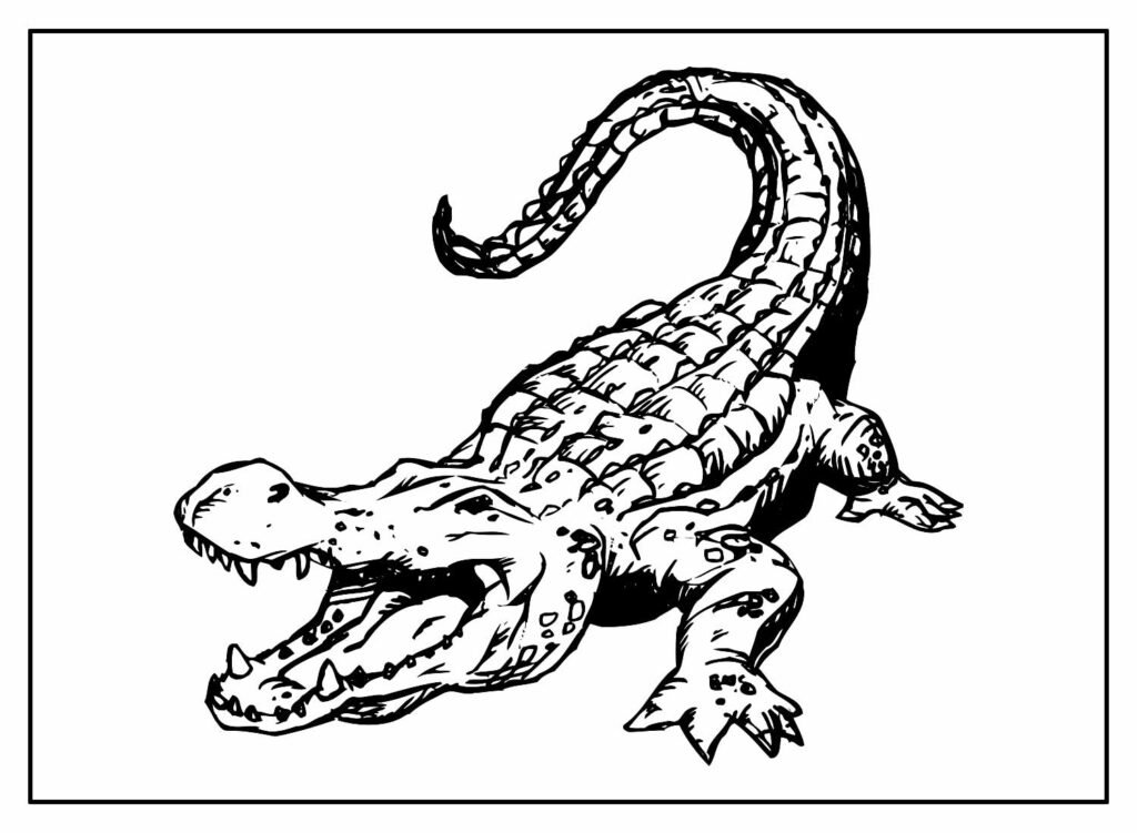 desenhos de animais para colorir 42