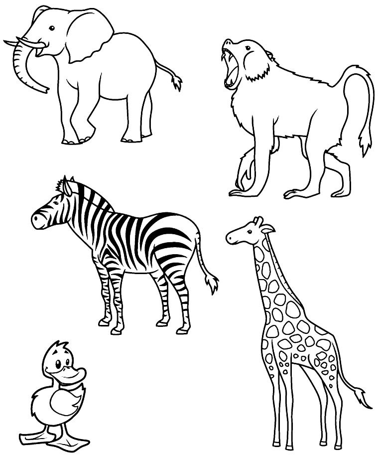 desenhos de animais para colorir 6 1