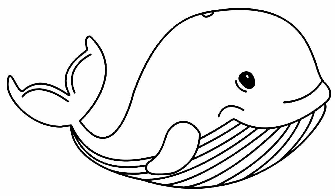 Desenhos de Baleia para Colorir e Imprimir
