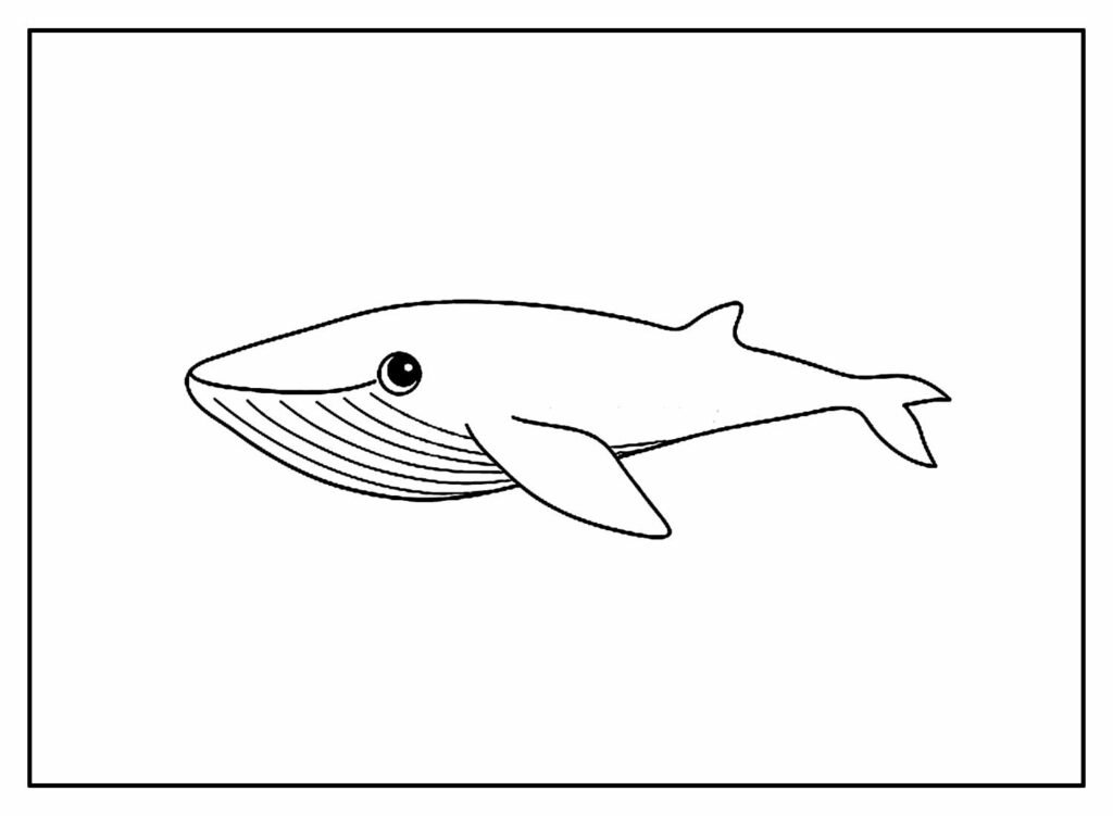 desenhos de baleia para colorir 18