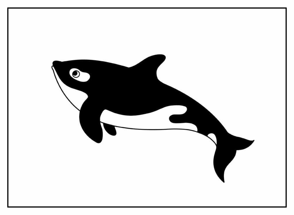 desenhos de baleia para colorir 24