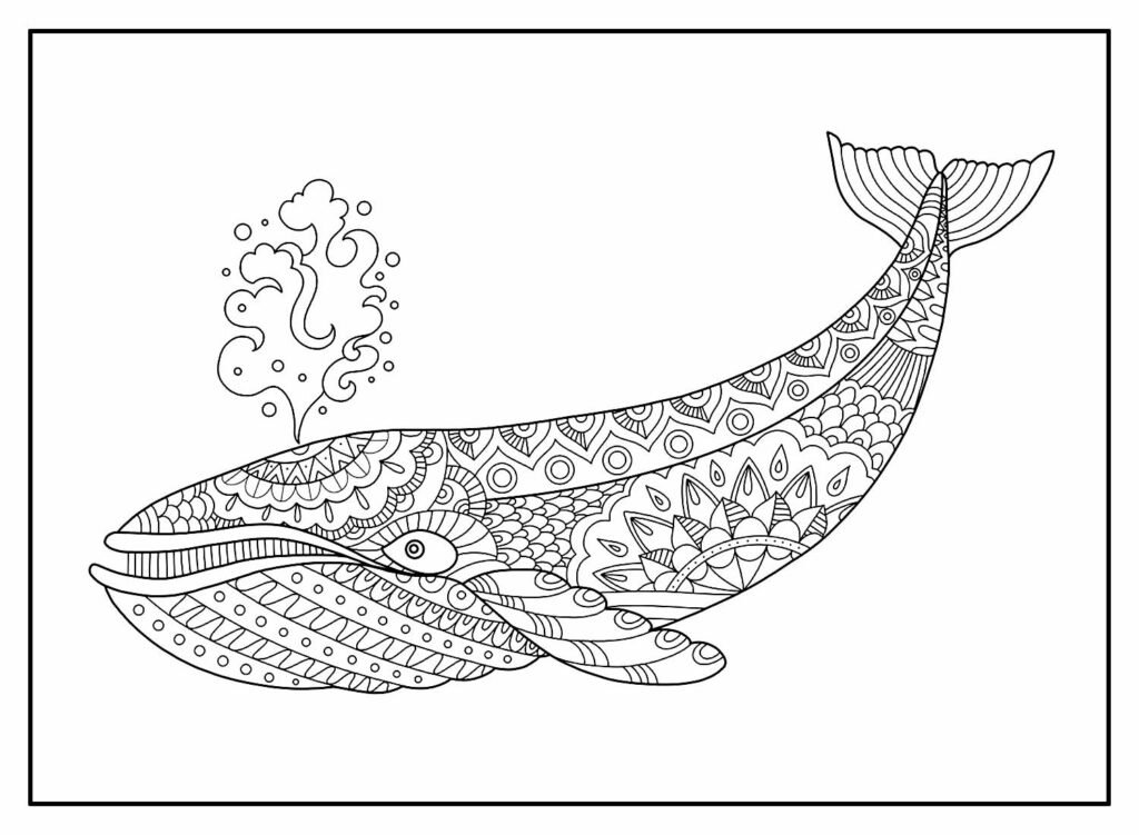 desenhos de baleia para colorir 27