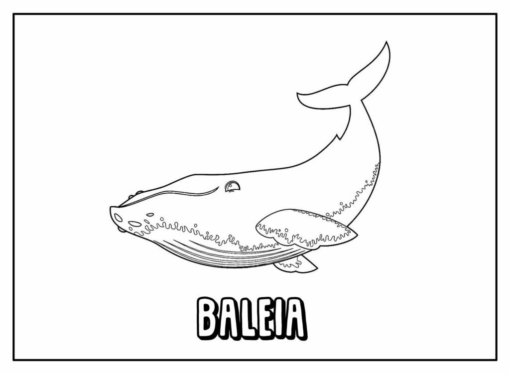 Desenho Para Colorir baleia - Imagens Grátis Para Imprimir - img 27231