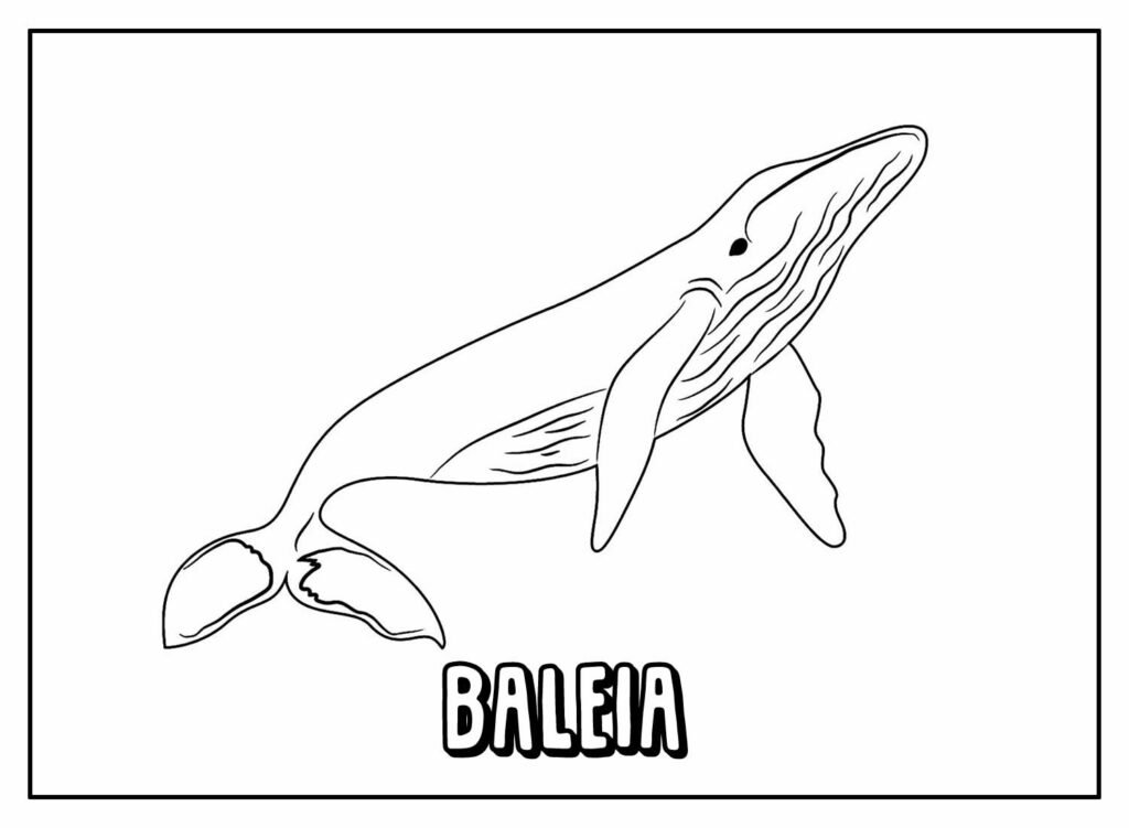 desenhos de baleia para colorir 34