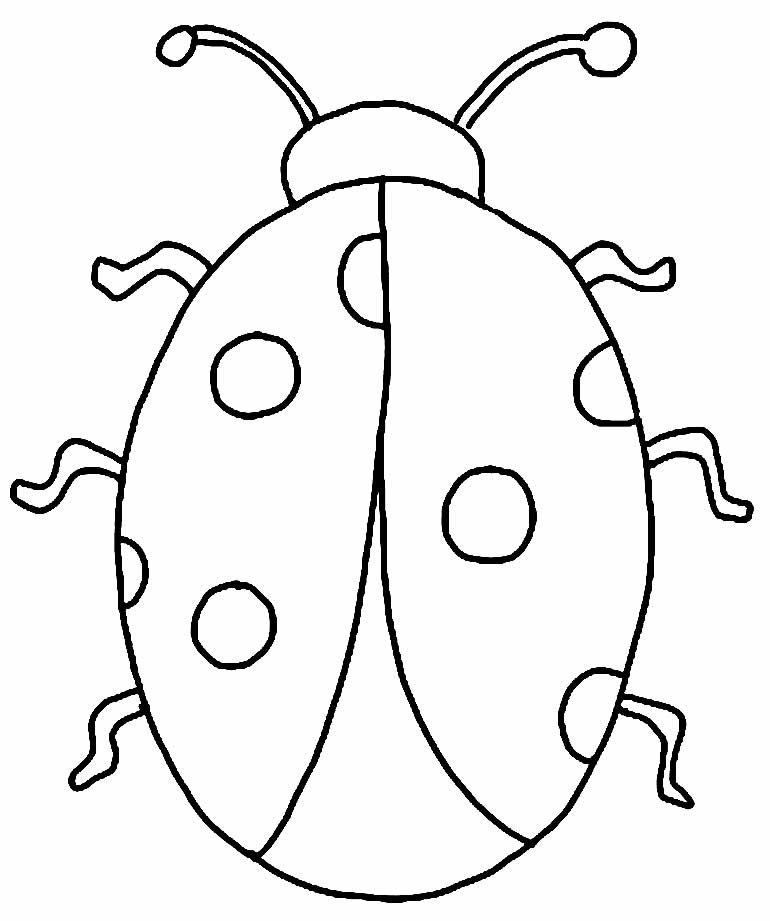 desenhos de borboleta para pintar e colorir 14