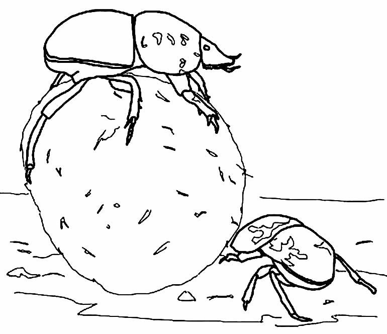 desenhos de borboleta para pintar e colorir 16