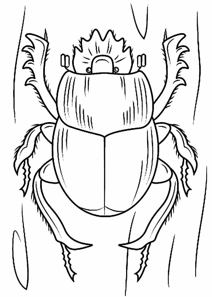 desenhos de borboleta para pintar e colorir 19