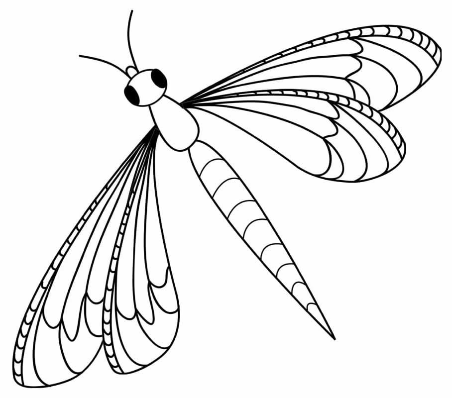 desenhos de borboleta para pintar e colorir 2