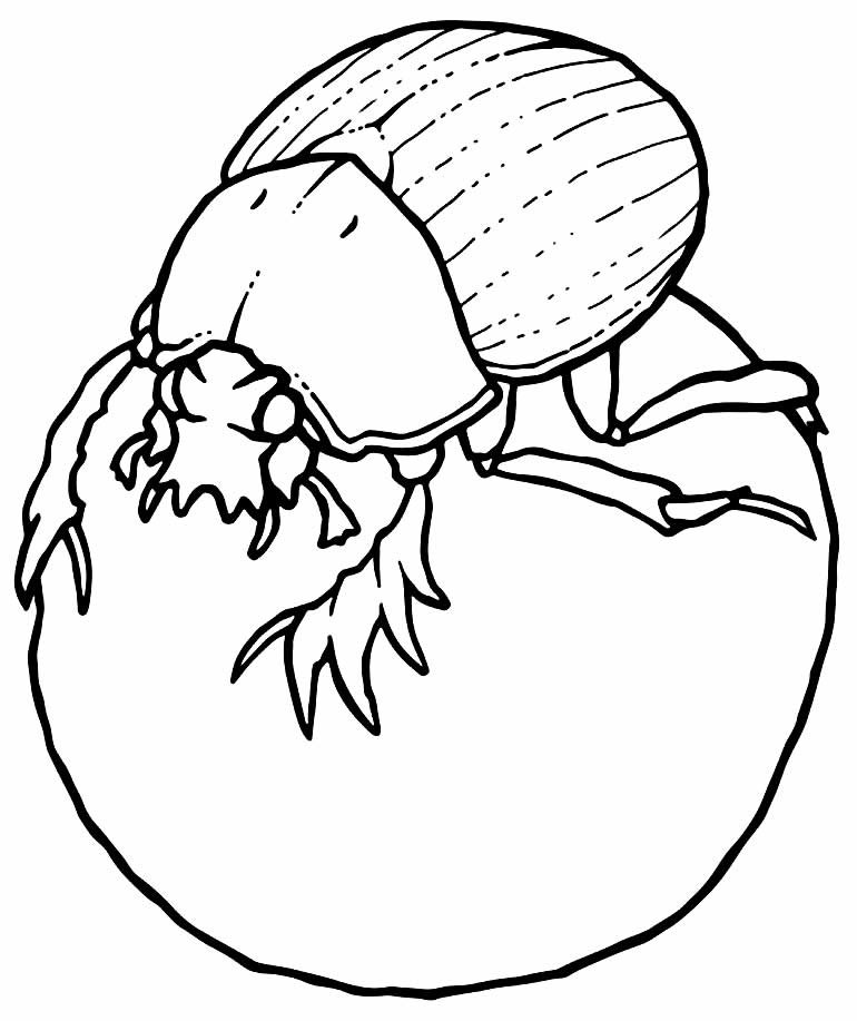 desenhos de borboleta para pintar e colorir 27