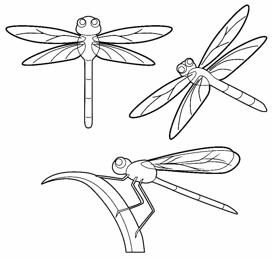 desenhos de borboleta para pintar e colorir 7