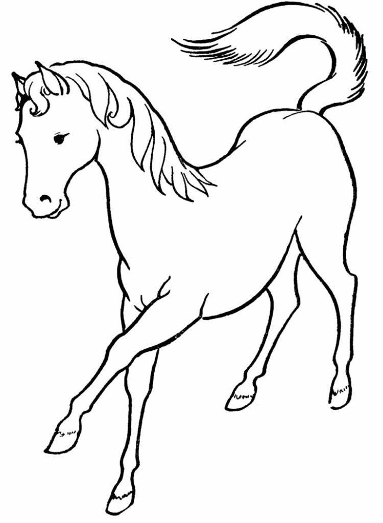 desenhos de cavalo para colorir 10 1