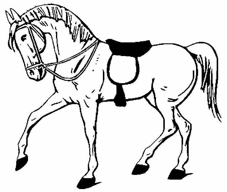 desenhos de cavalo para colorir 3 1 desenhos de cavalo para colorir 3 1