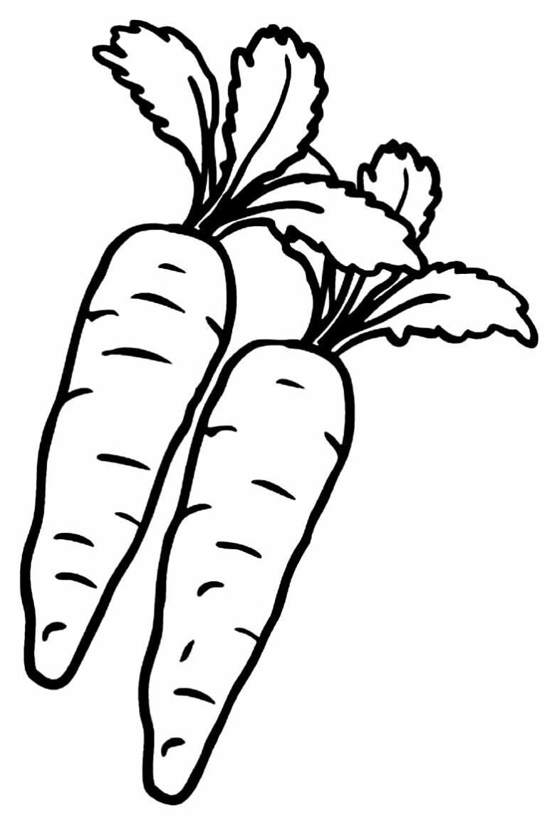 Desenhos de Cenoura para Colorir e Imprimir