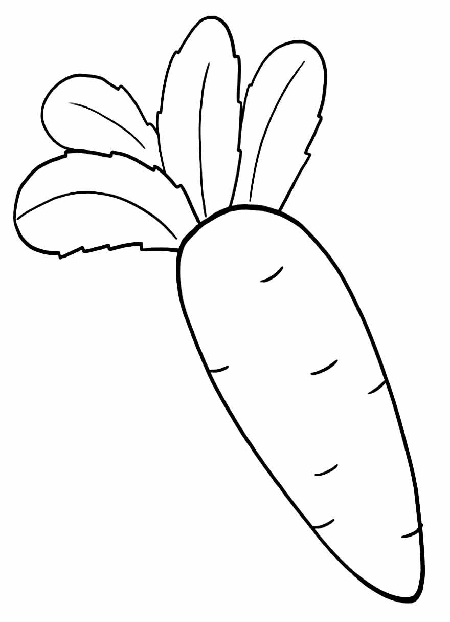 Desenhos de Cenoura para Colorir e Imprimir